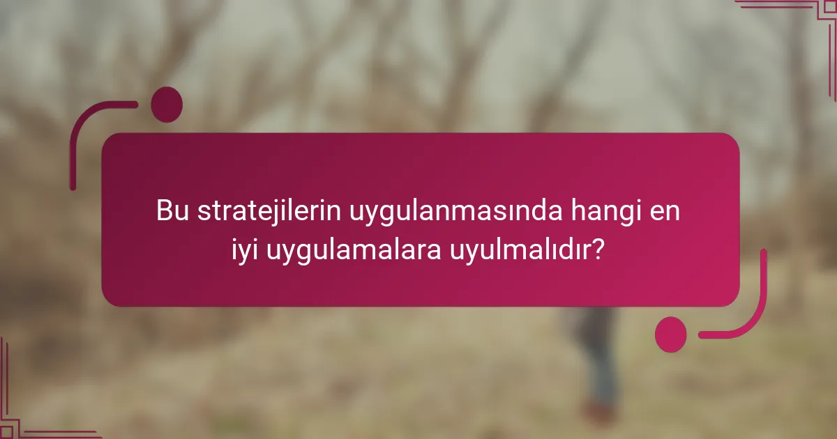 Bu stratejilerin uygulanmasında hangi en iyi uygulamalara uyulmalıdır?