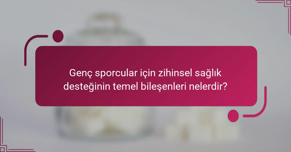 Genç sporcular için zihinsel sağlık desteğinin temel bileşenleri nelerdir?