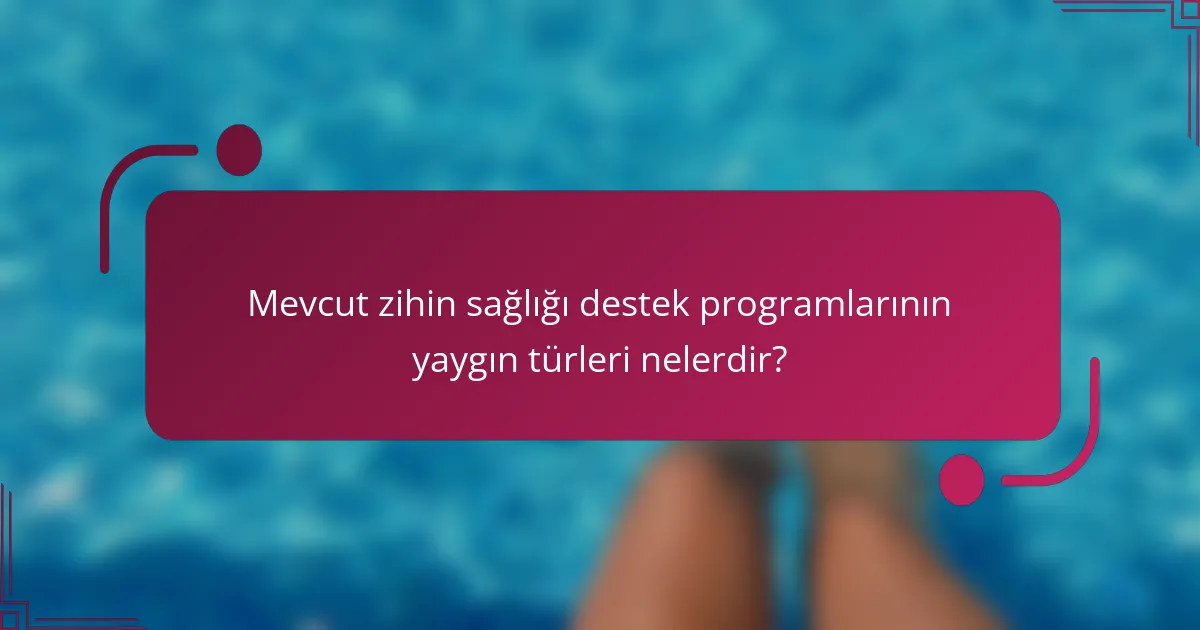Mevcut zihin sağlığı destek programlarının yaygın türleri nelerdir?